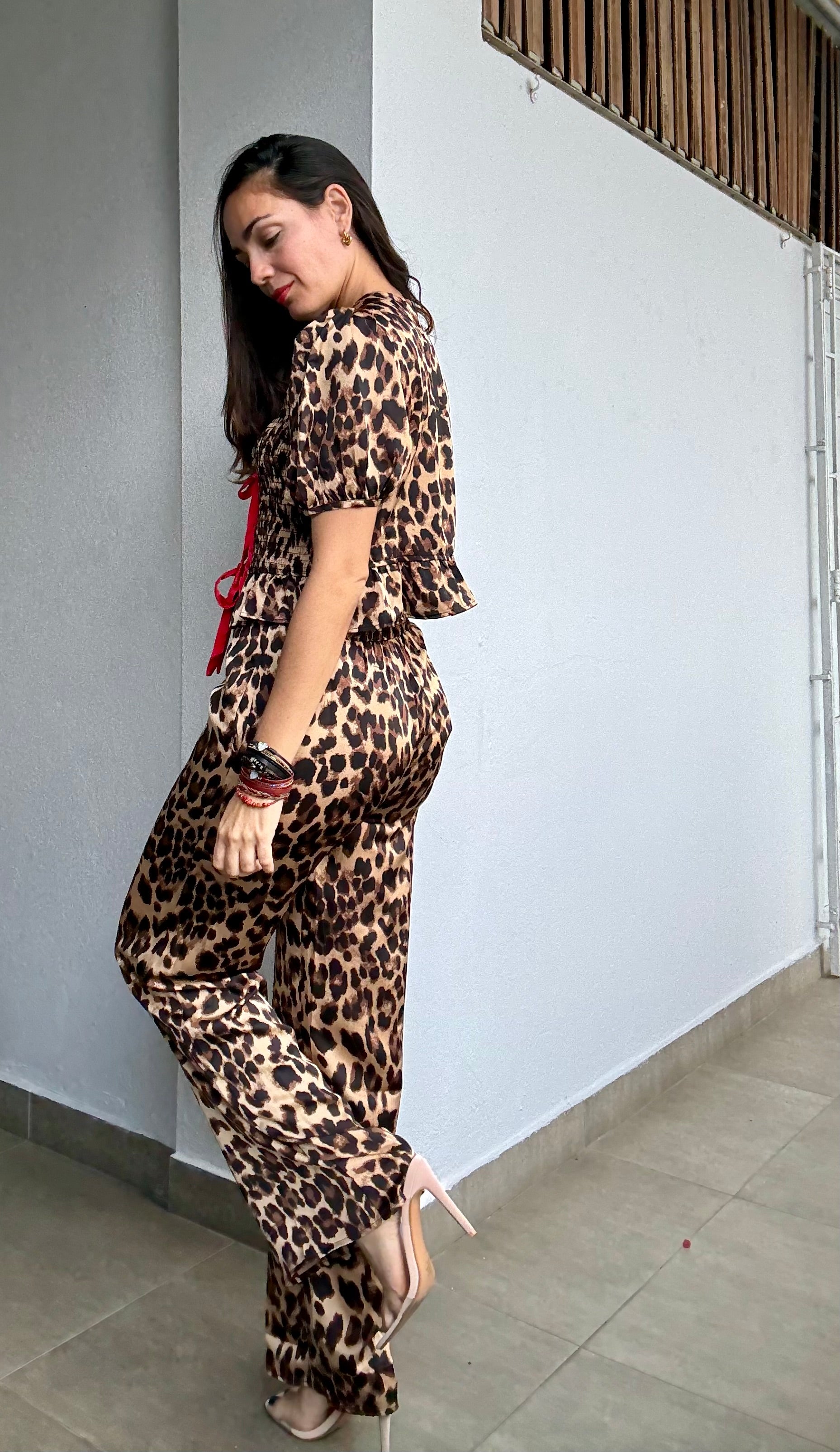 Animal Print Red Bows Set