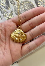 Load image into Gallery viewer, Pearls Shell Necklace
