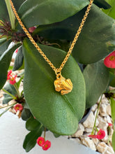 Load image into Gallery viewer, Coquí Gold 18k Necklace
