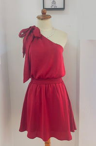 Burgandy One Shoulder Dress