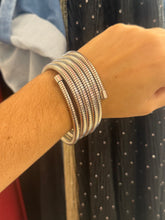Load image into Gallery viewer, Serpentine Stainless Steel Bracelet

