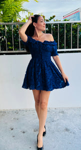 Blue Valentine Dress